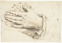Studie van een linkerhand (c. 1627 - c. 1628) by Gerard ter Borch II, Moses ter Borch, Harmen ter Borch and Hendrick Goltzius