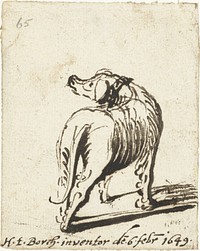 Hond, van achteren (1649) by Harmen ter Borch