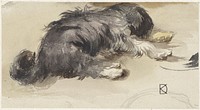 Slapende hond, van achteren gezien (1841 - 1857) by Johan Daniël Koelman