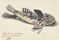 Zeedonderpad (1750) by Johannes le Francq van Berkhey