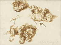 Studies van een hond (1821 - 1891) by Guillaume Anne van der Brugghen
