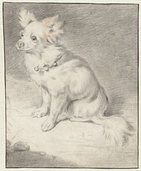 Seated Dog (c. 1650 - c. 1700) by Cornelis Visscher II
