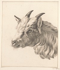 Kop van een geit, naar links (1775 - 1833) by Jean Bernard