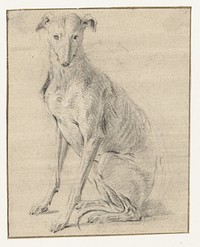 Een zittende hond, naar links, de kop van voren gezien (1589 - 1657) by Frans Snijders
