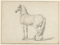 Ontzadeld paard, naar links (1698 - 1752) by Charles Parrocel