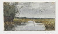 Grasland met sloot in het midden (1867 - 1913) by Philip Zilcken
