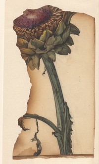 Zonnebloem (fragment) (1887 - 1924) by Julie de Graag