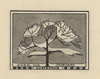 Besneeuwde lijsterbes (1918) by Julie de Graag