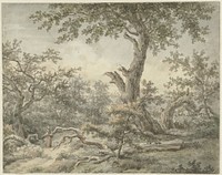 Boslandschap (1756 - 1826) by Cornelis Buys