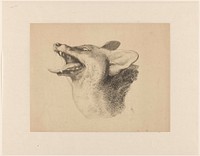Kop van een vos (1816 - 1893) by Joseph Mendes da Costa 1806 1893