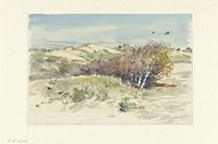 Duinlandschap tussen Bloemendaal en IJmuiden (1891) by Jan Hoynck van Papendrecht
