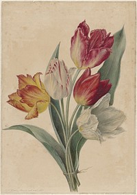 Bouquet of Tulips (1831 - 1900) by Jan Jacob Goteling Vinnis