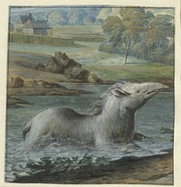 Tapir in the Water (1706) by Willem Hendrik Wilhelmus van Royen