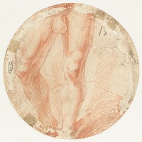 Fragment van een studie van mannelijk naakt (1682 - 1711) by Quellinus Schobbens