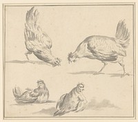 Vier studies van kippen (1816 - 1881) by Albertus Verhoesen