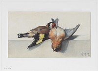 Stilleven met twee dode vogels (1848 - 1885) by Cornelis Samuel Stortenbeker