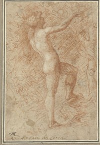 Adam plukt de appel van de boom (1513 - 1523) by Correggio