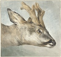 Head of a Roebuck (c. 1800) by Wybrand Hendriks
