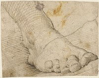 Studie van een rechtervoet, schuin van voren (1567 - 1602) by Agostino Carracci