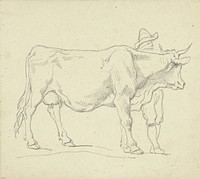 Staande koe, naar rechts, met man met hoed (1788 - 1839) by Hendrik Voogd