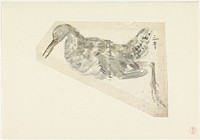 Dode watervogel (1800 - 1900) by Yamamoto Shinryo Baiitsu