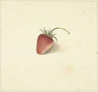 Aardbei (1818 - 1853) by Elisabeth Geertruida van de Kasteele