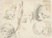 Vier studies van een schedel (1519 - 1566) by Daniele da Volterra