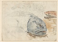 Compositie van vissen (1870 - 1923) by Willem Witsen