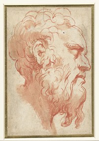 Hoofd van een oude man, en profil naar rechts (1513 - 1540) by Parmigianino and anonymous
