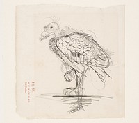 Vogel op één poot, mogelijk een gier (1899 - 1920) by Jan Mankes