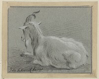 Liggende geit (c. 1756 - c. 1797) by Hendrik Willem Schweickhardt