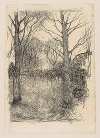 Bosrand (1913 - 1915) by Jan Mankes