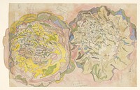 Ontwerp voor aardewerk decoratie: bloemkool en savooiekool (1917 - 1918) by Theo Colenbrander