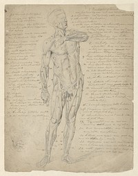 Anatomische studie van staande menselijke figuur (1868 - 1940) by Johan Braakensiek
