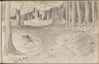 Bospad in het park van Metternich (1869) by Johannes Tavenraat