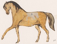 Paard (uitgeknipt) (1840 - 1880) by Johannes Tavenraat