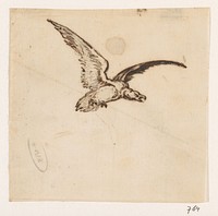 Roofvogel (1840 - 1880) by Johannes Tavenraat