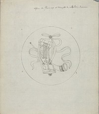 Espèce de thorminx [?] et trompette de cavallerie Romaine (in or before 1828) by Pierre Félix van Doren