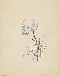 Menselijke schedel op een stok (in or before 1936) by F Ockerse