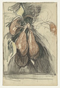 Kalebasperen (1920 - 1924) by Jac van Looij