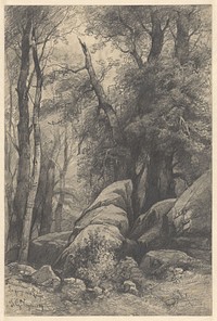 La Gorge-aux-Loups in Fontainebleau (1869) by Johannes Gijsbert Vogel