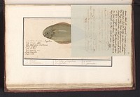 Briefje van J.A. van Huerne over een tarbot (1801) (1809 - 1814) by Joseph van Huerne