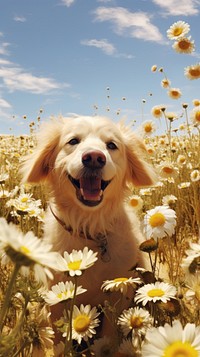  Dog flower field landscape. AI generated Image by rawpixel.