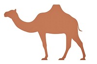 Camel mammal white background clothing.