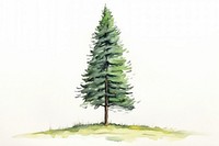 Pine tree sketch plant fir.