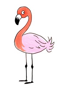 Flamingo cartoon drawing animal.