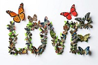 Group of butterflies butterfly animal insect. AI generated Image by rawpixel.