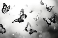 Group of butterfly flying animal insect. AI generated Image by rawpixel.