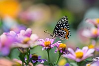 Butterfly eating nectar flower outdoors nature. AI generated Image by rawpixel.