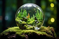 Crystal globe aquarium nature forest. AI generated Image by rawpixel.